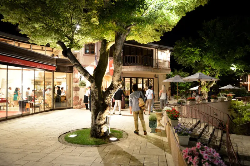 kawaguchikomusicforest003