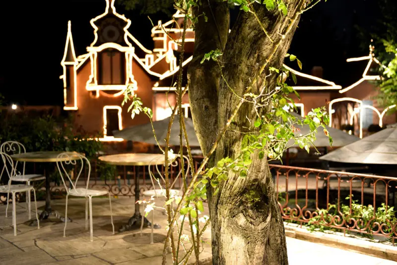 kawaguchikomusicforest005