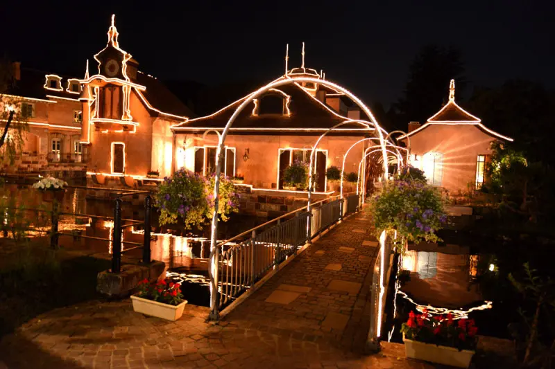 kawaguchikomusicforest008