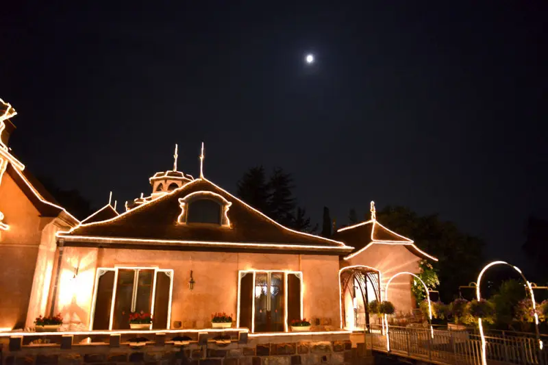 kawaguchikomusicforest009