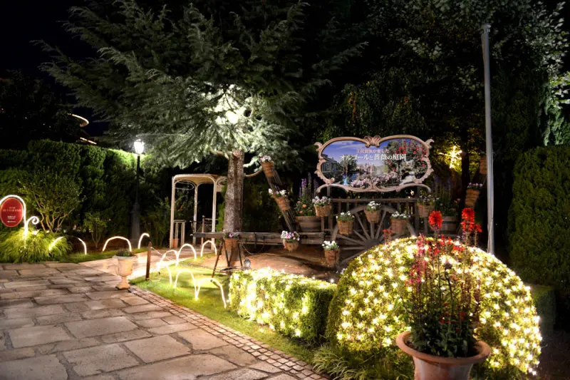 kawaguchikomusicforest013