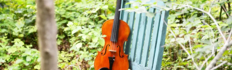 640i_violin